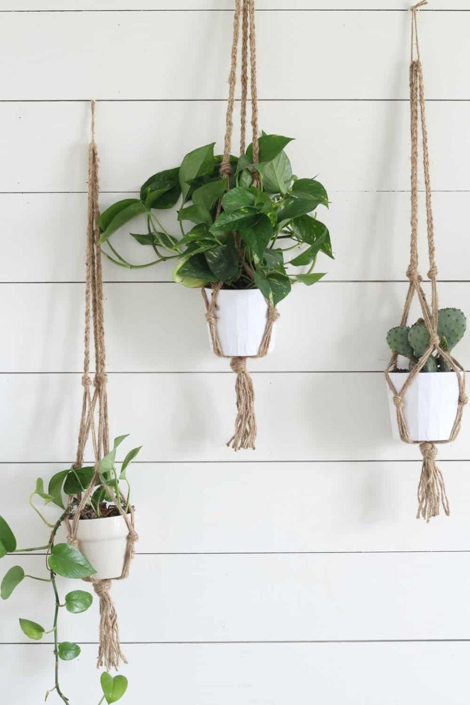 <p><strong>CRAZY PLANT BAE</strong></p><p>crazyplantbae.com</p><p><strong>$27.99</strong></p><p><a href="https://www.crazyplantbae.com/collections/products/products/3-macrame-planter" rel="nofollow noopener" target="_blank" data-ylk="slk:Shop Now;elm:context_link;itc:0;sec:content-canvas" class="link ">Shop Now</a></p><p>The hanging planter is an actual classic. This set of three is suuuper minimal and will look great in any boho-themed aesthetic.</p>