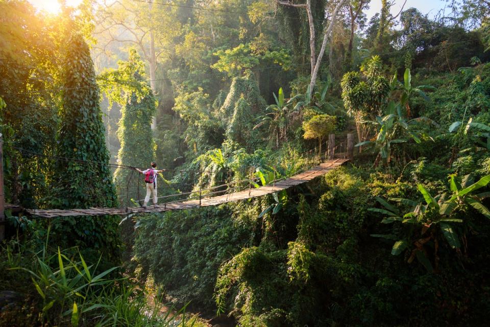 Backpack between the dynamic Thai isles (Getty Images)