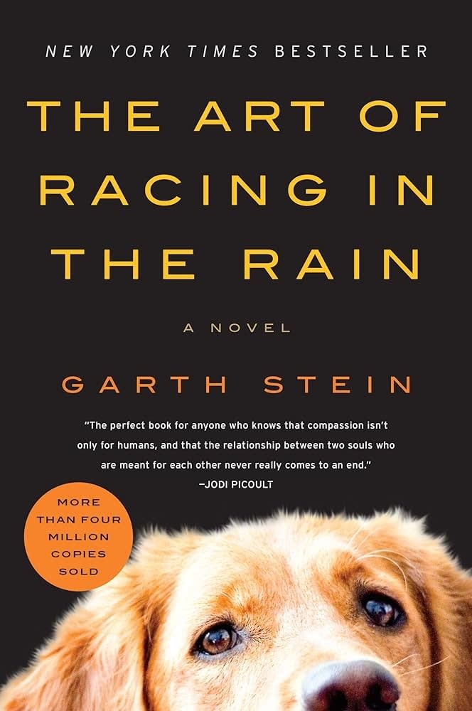 Book cover of 'The Art in the Rain' by Garth Stein with a close-up of a dog's face