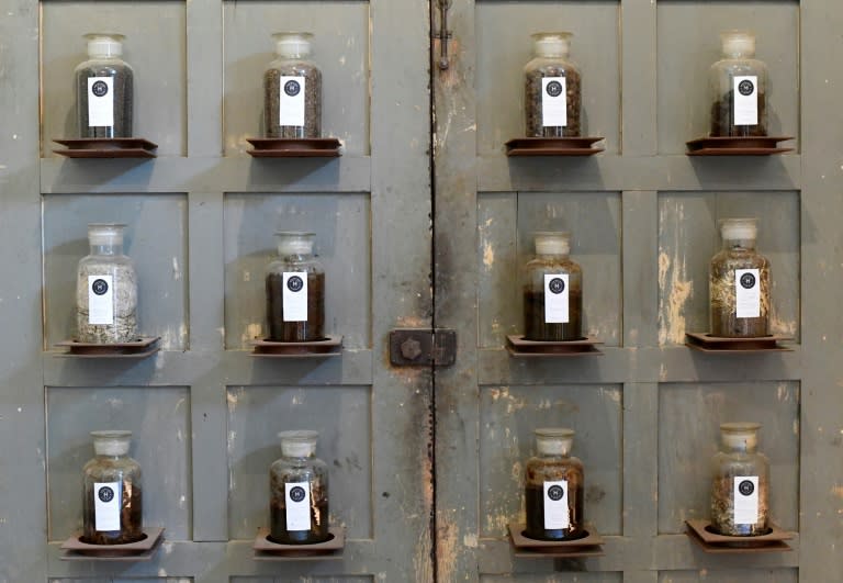 An exhibit at Italy's "Shit Museum" is dedicated to "Shit in the medicine of antiquity"