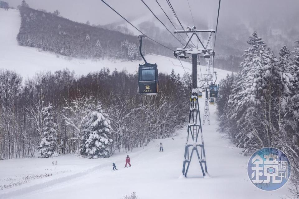 「星野TOMAMU度假村」每年吸引大量的國外旅客前來追雪。