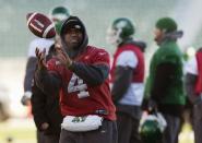 Saskatchewan Roughriders quarterback Darian Durant catches a ball during practice in Regina, Saskatchewan, November 22, 2013. The Saskatchewan Roughriders will play against the Hamilton Tiger-Cats in the CFL's 101st Grey Cup in Regina. REUTERS/Mark Blinch (CANADA - Tags: SPORT FOOTBALL)