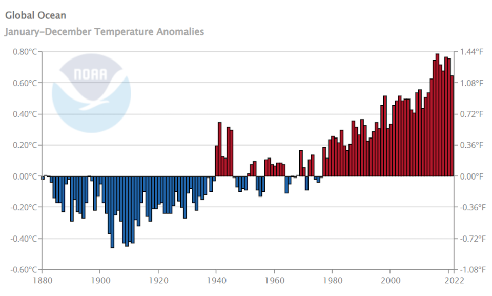 Global ocean temperatures have been rising. The bars show how annual temperatures departed from the 20th century average. <a href="https://www.ncei.noaa.gov/cag/global/time-series/globe/ocean/12/12/1880-2022" rel="nofollow noopener" target="_blank" data-ylk="slk:NOAA;elm:context_link;itc:0;sec:content-canvas" class="link ">NOAA</a>