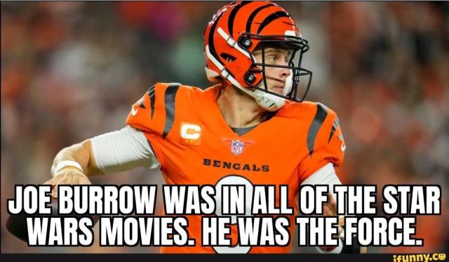 Feeling the #WhoDey spirit before the playoffs? Here are some Bengals, Joe  Burrow memes