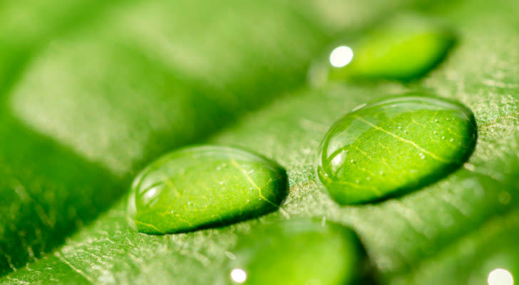 Green leaf with water drops