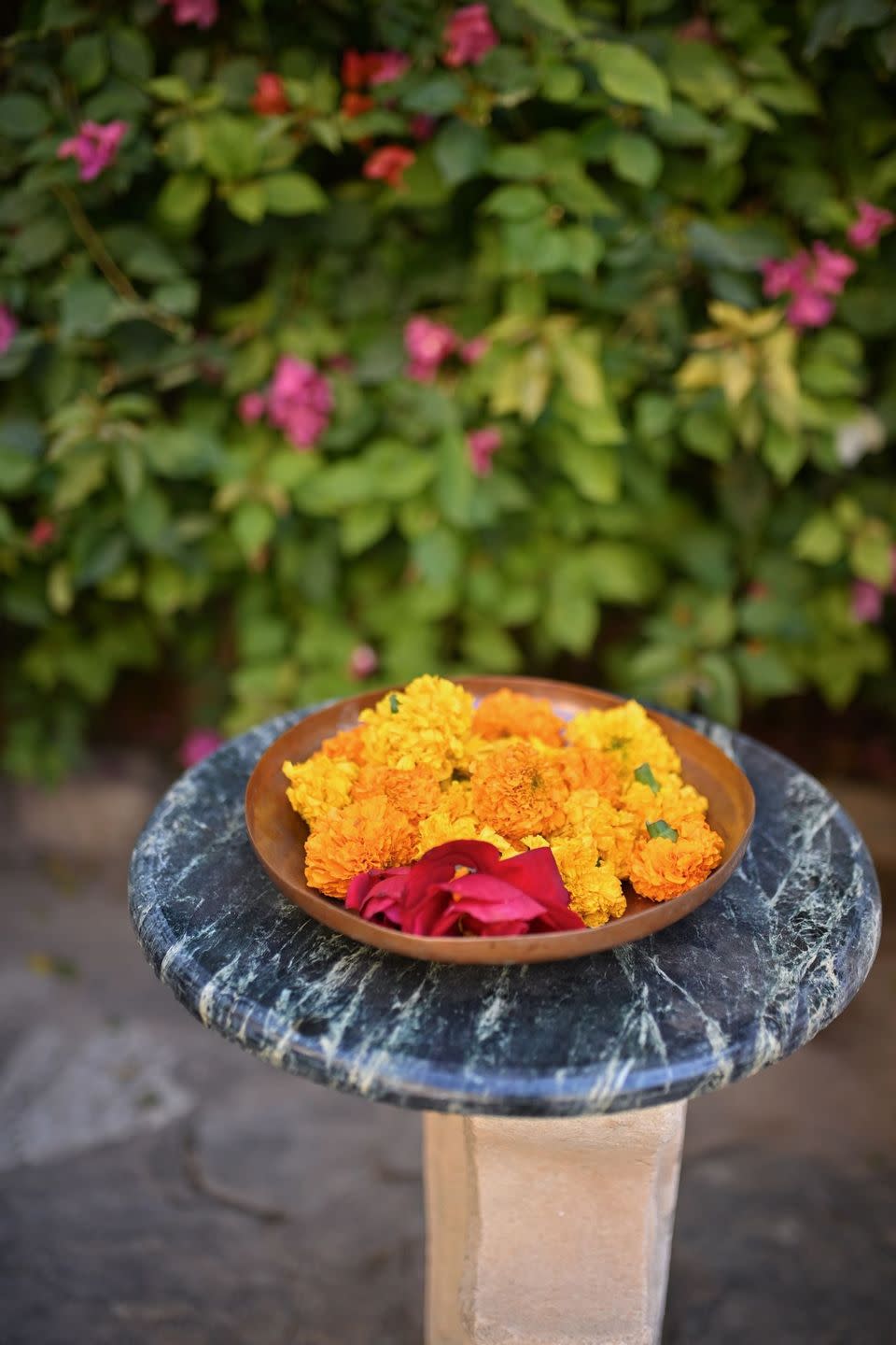 edible flowers marigold