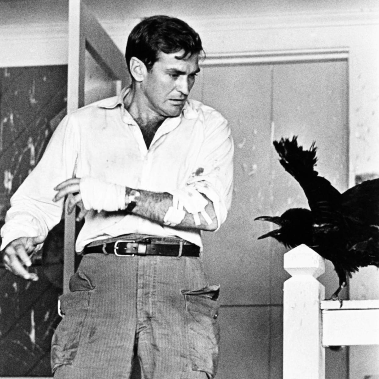 Rod Taylor in The Birds