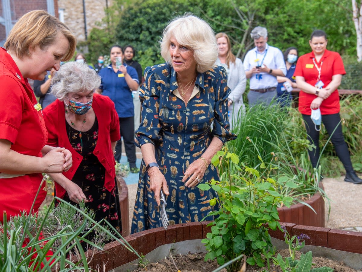 Camilla, then-Duchess of Cornwall, planting new Nye Bevan and Roald Dahl roses alongside Trust staff when she visited the hospital garden at The Whittington Hospital on 12 May 2021 (Getty Images)