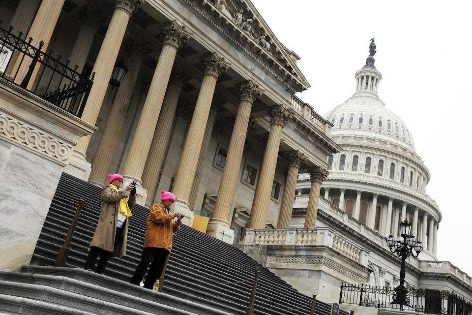Protesters in pussy hats on the steps of the Capitol
