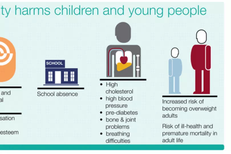 A graphic from the presentation showing the impact of obesity in children