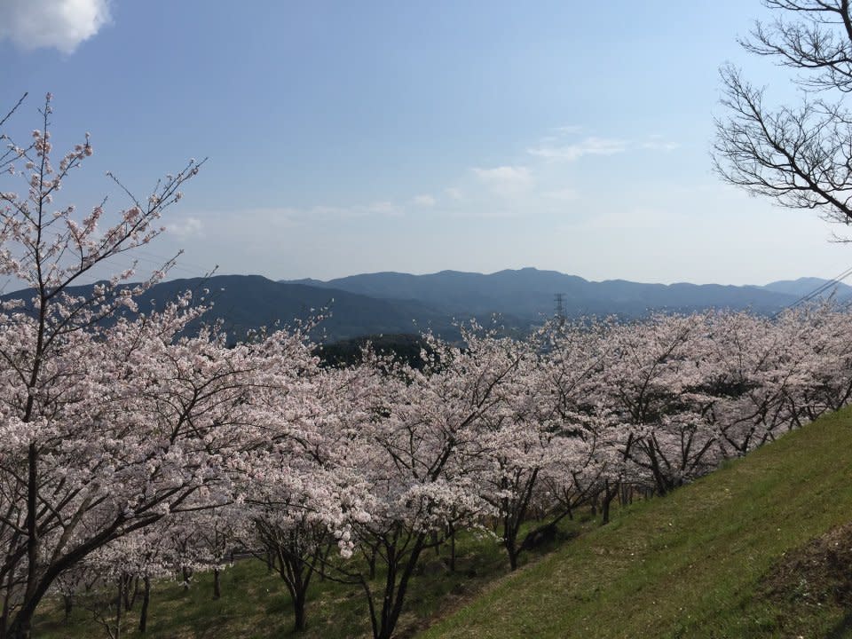 寺山休憩廣場