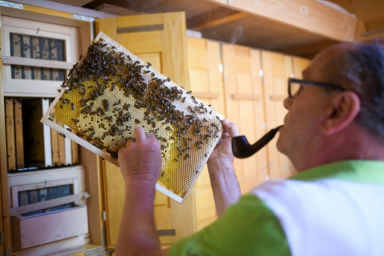 Karl Vogrincic has more than 40 years of beekeeping under his belt and says it's "a matter of love rather than anything else"