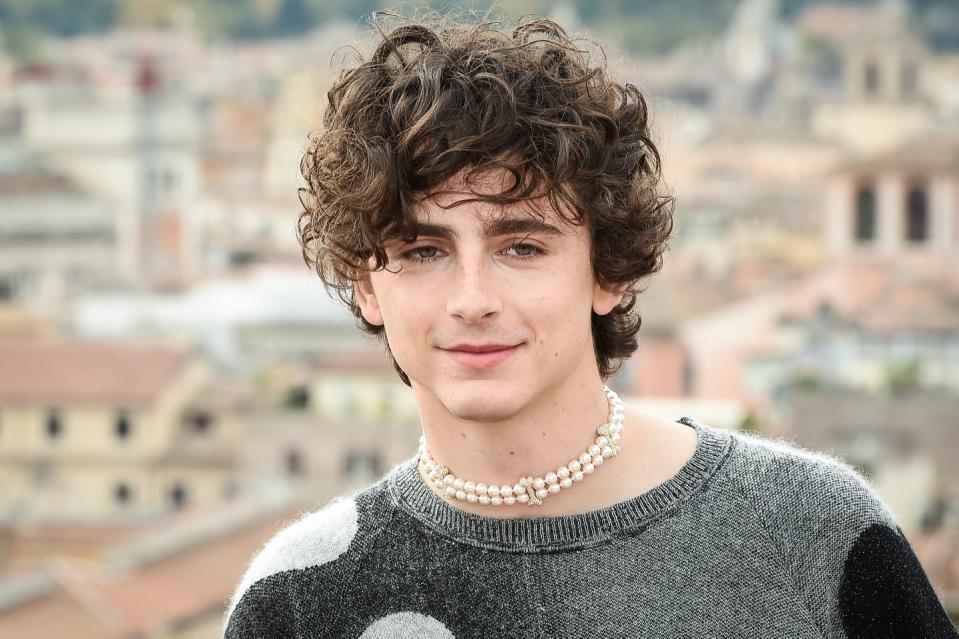 timothée chalamet, bones and all photocall