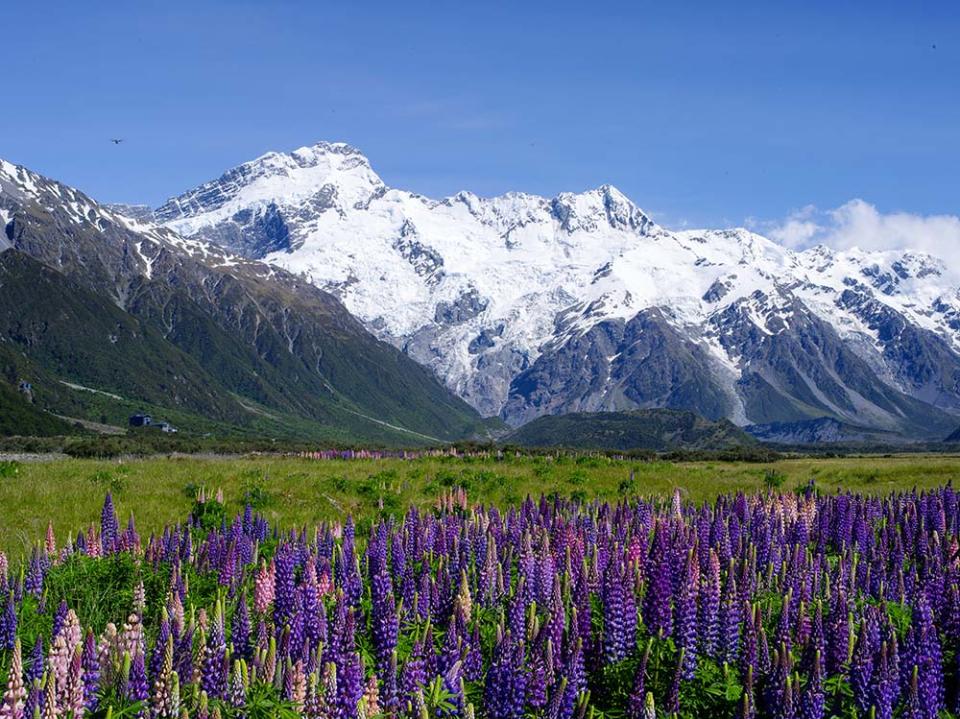 庫克山（Image Source : Getty Creative/iStockphoto）