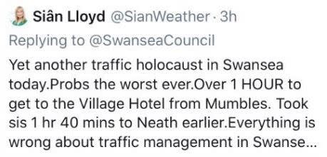 Sian Lloyd referred to a 'traffic holocaust' (Credit: Twitter)