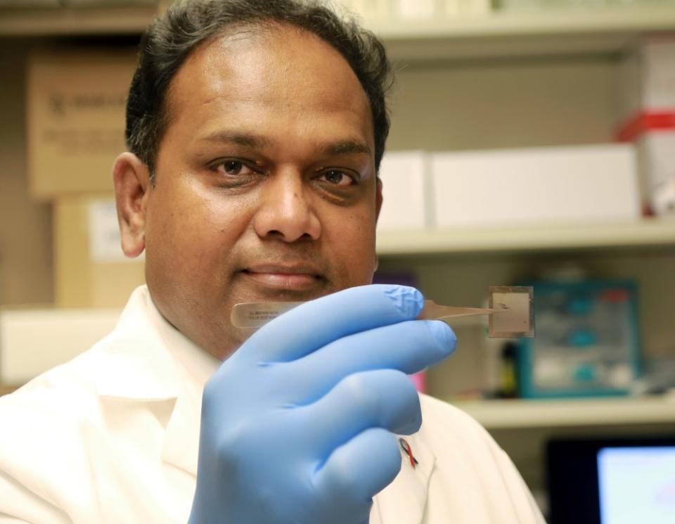 Chandan Sen, PhD, holds a chip that could revolutionize medical care. In laboratory tests on mice at The Ohio State University Wexner Medical Center, the chip was able to heal serious wounds with a single touch by converting skin cells into vascular cells.