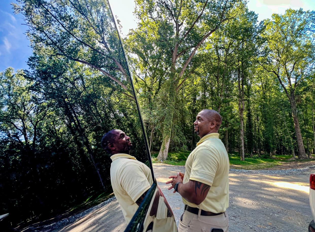 Ty Blackwell, Deputy Coroner for the Anderson County Office of the Coroner looks at the wooded area near his work vehicle where human bones were found Saturday morning.