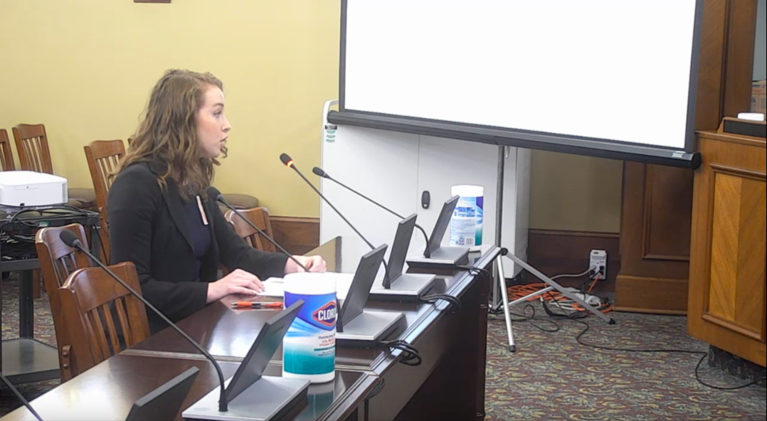 Department of Human Services Division of Early Childhood Director Bethany Patten testified in support of the Smart Start Illinois initiative on Thursday April 27, 2023.