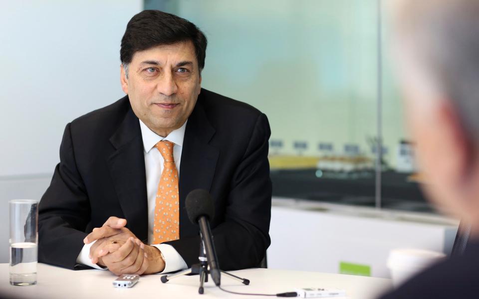 Reckitt boss Rakesh Kapoor has insisted that growth was only being hampered by one-off factors