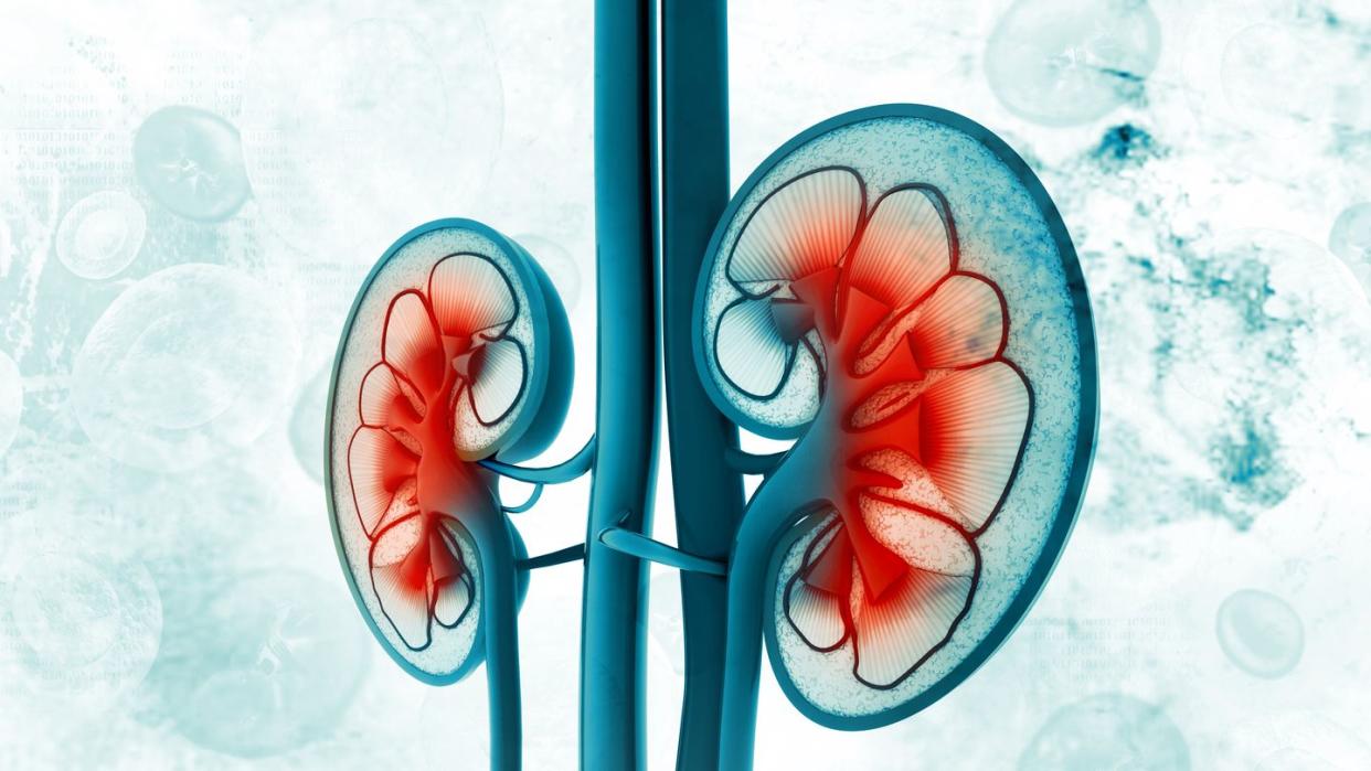 diabetes side effects - kidney failure