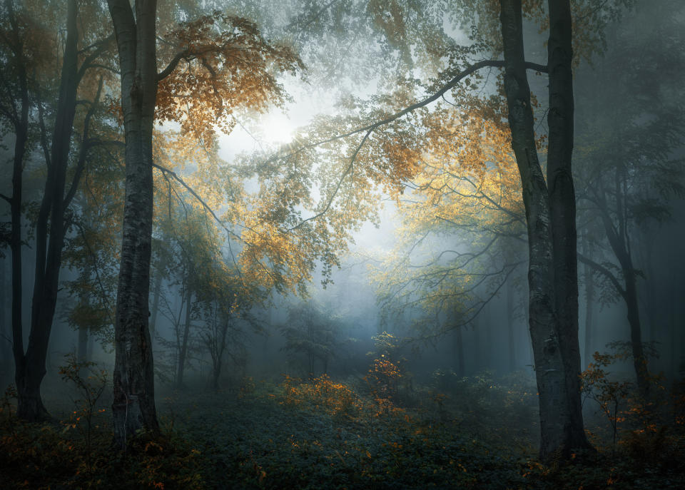 Open Landscape & Nature and Winner: Early autumn – Veselin Atanasov