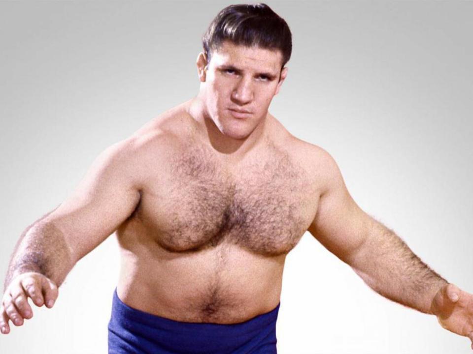 Sammartino remains the longest reigning WWE champion in history (WWE)