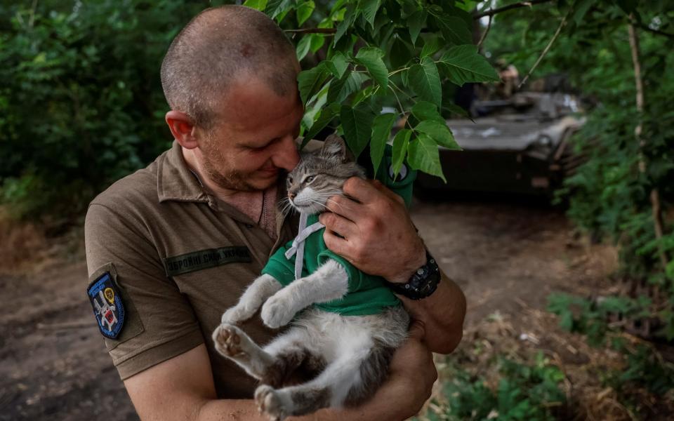 Ukrainian serviceman of the 28th Knights of the Winter Campaign Separate Mechanised Brigade Oleksii pets his unit's cat