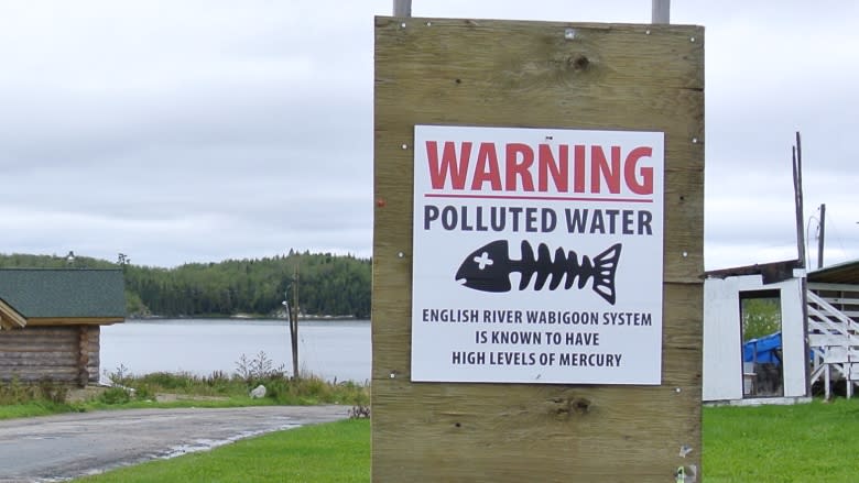 Grassy Narrows mercury victims up to 6 times more likely to have debilitating health problems, report says