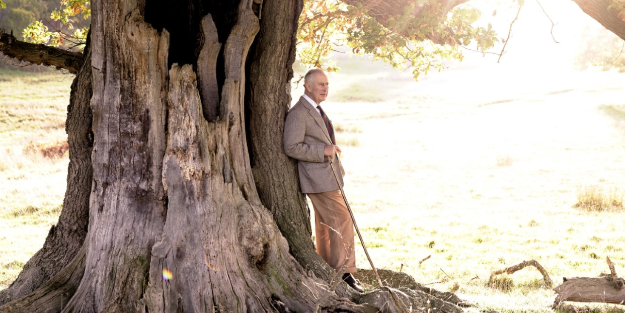 his majesty the king with an ancient oak tree in windsor great park to mark his appointment as ranger of the park