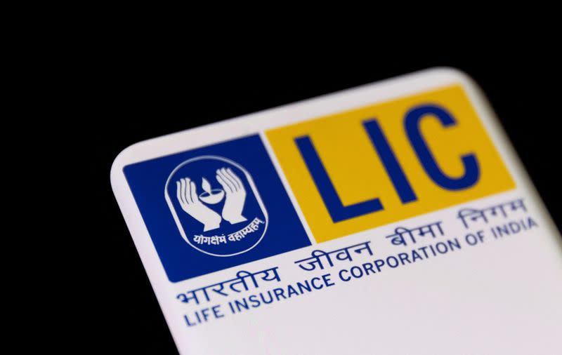 FILE PHOTO: Illustration shows Life Insurance Corporation of India (LIC) logo