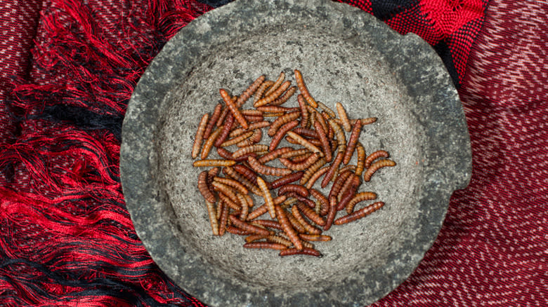 maguey worms in a pestle to be ground into sal de gusano