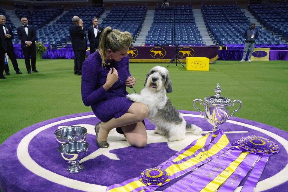 Handler Janice Hayes holds Buddy Holly, the Petit Basset Griffon Vendeen that won Best in Show.