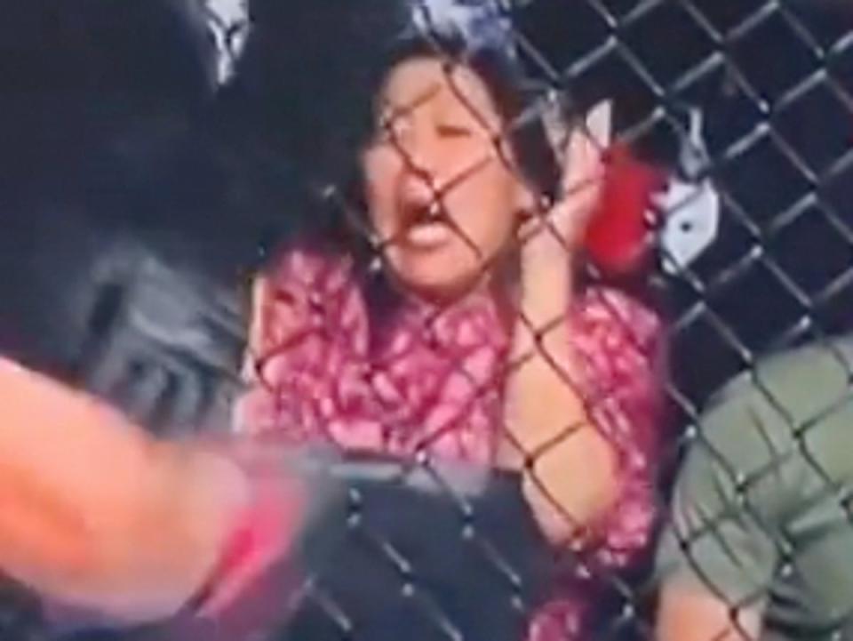 Priscilla Chan’s horrified reaction at a UFC fight went viral (Screenshot / Twitter / @breezygoblue)