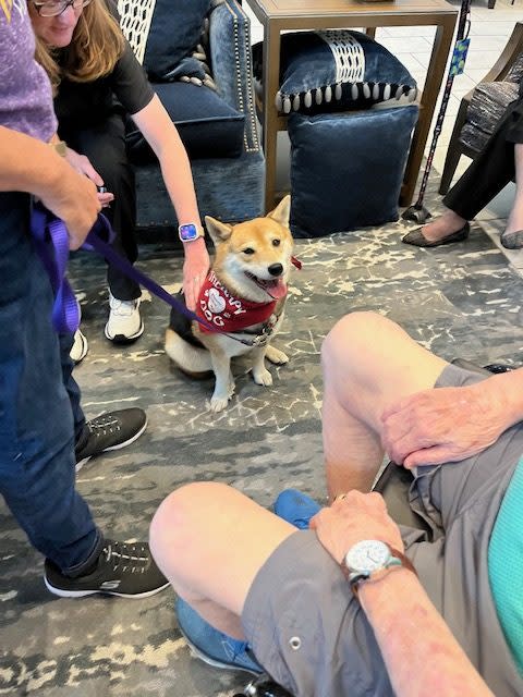 Toshi, a Shiba Inu with Bayou Buddies Pet Therapy receives pets from the residents at Claiborne Senior Living.