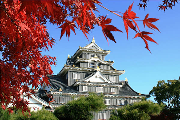 每到秋天，楓葉轉為赤紅色，配著黑色的城牆，是來到岡山縣必看的季節限定美景。（圖片來源／JNTO）