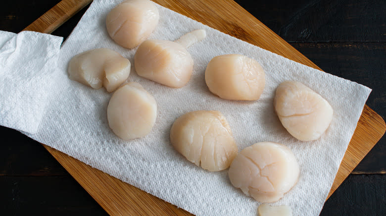 Scallops drying on paper towel