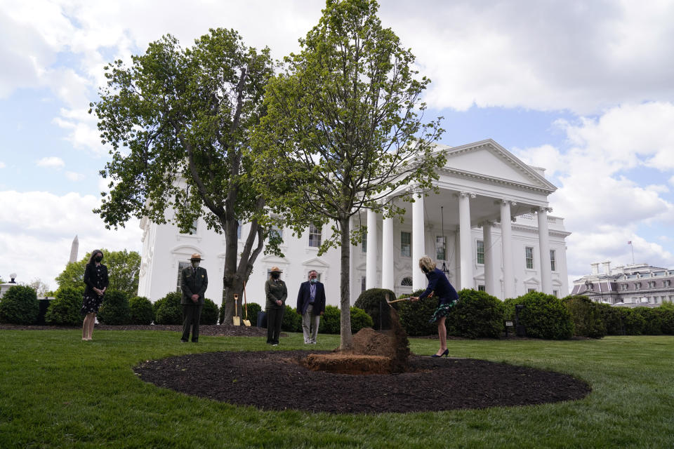 First lady Jill Biden participates in an Arbor Day tree planting ceremony at the White House, Friday, April 30, 2021, in Washington. (AP Photo/Evan Vucci)