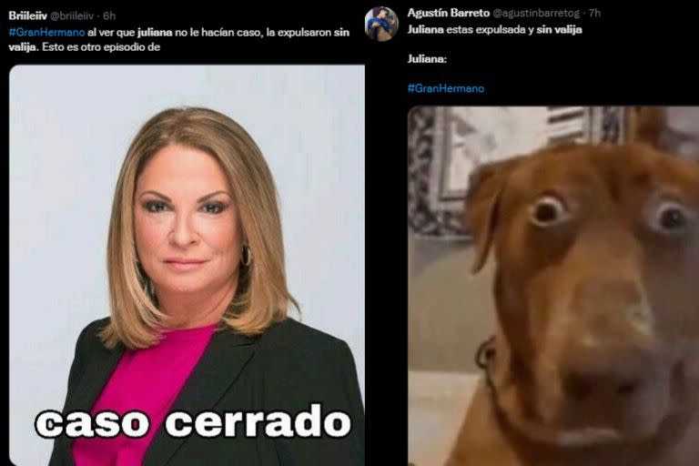 Expulsiones, regresos y venganza: los memes de la mejor gala de Gran Hermano (Foto captura Twitter)