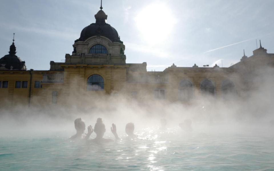 Szechenyi baths  - VALERY HACHE