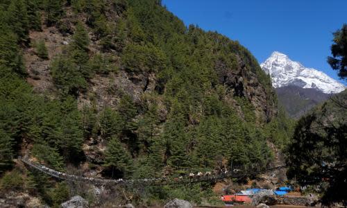 NEPAL-HEALTH-VIRUS<br>This picture taken on March, 24, 2020 shows mules carrying goods over a bridge on their way to Namche Bazaar, the last stop before base camp in the shadow of the world's tallest mountain Everest. - The Himalayan hilltown of Khumjung should be bustling with foreign trekkers gearing up for one of Mount Everest's biggest weeks of the year, but the COVID-19 coronavirus has shut down the mountain and threatened the livelihood of the sherpas who rely on it. (Photo by PRAKASH MATHEMA / AFP) / TO GO WITH Health-virus-pandemic-Nepal-climbing,FOCUS by Paavan Mathema (Photo by PRAKASH MATHEMA/AFP via Getty Images)