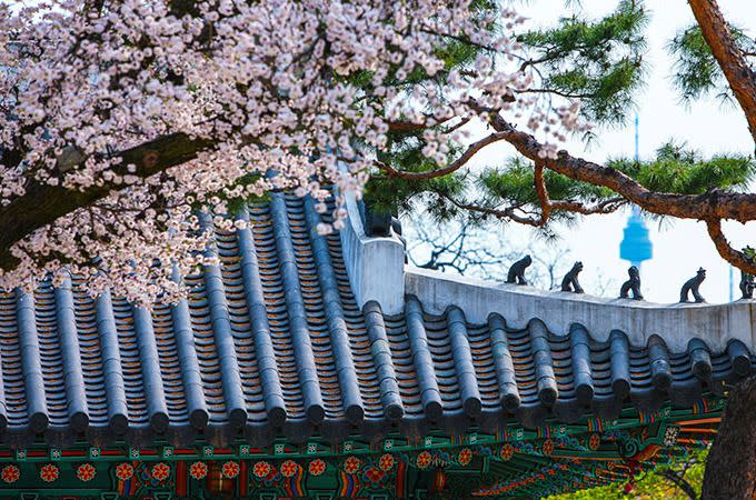 Changgyeonggung Palace. Photo: Korea Tourism Association