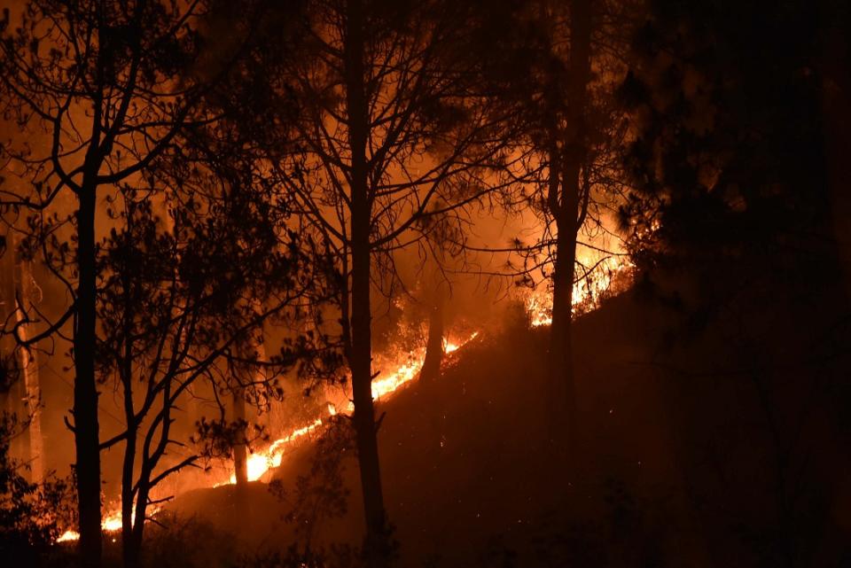Forest fires in Uttarakhand (Photo by Arun Sharma/Hindustan Times via Getty Images)