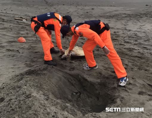 岸巡人員就地掩埋死亡綠蠵龜。（圖／海巡署東部分署第一三岸巡隊提供）