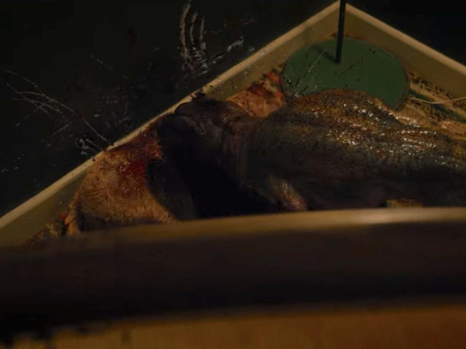 a lizardlike creature, about the size of a small dog, eating from the body of a dead household cat in stranger things