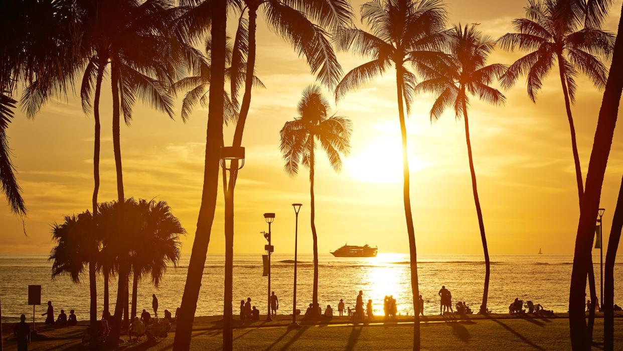 Palm tree silhouette at sunset, Hawaii, USA.