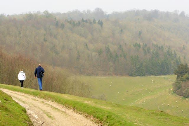 File photo dated dated 29/03/11 of a view of the South Downs, West Sussex, as most of the country's national parks are unsuitable for fracking because of their geology, a report has found. PRESS ASSOCIATION Photo. Issue date: Thursday April 30, 2015. Scientists from Durham University's Department of Earth Sciences have reviewed existing data for each of our 15 national parks and found only four where it could be considered. The briefing document found the four parks with geology to interest companies looking to exploit shale gas, shale oil or coalbed methane were the North York Moors, the Peak District, the South Downs and the Yorkshire Dales. Fracking was considered "unlikely" in the Brecon Beacons, Exmoor, New Forest and Northumberland. They have shales or coals present but other aspects of their geology make fracking unfavourable. The remaining seven national parks - the Broads, Cairngorms, Dartmoor, Lake District, Loch Lomond and the Trossachs, Pembrokeshire Coast and Snowdonia - have geology which rules out fracking, the report found. Those behind the study, published today, said they produced the report as, they claimed, there remained uncertainty about the policy on fracking in national parks. See PA story ENVIRONMENT Fracking. Photo credit should read: Chris Ison/PA Wire