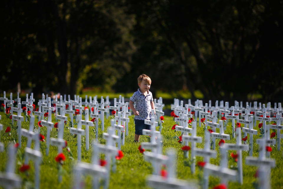Field Of Remembrance honors Aucklanders who died In WWI