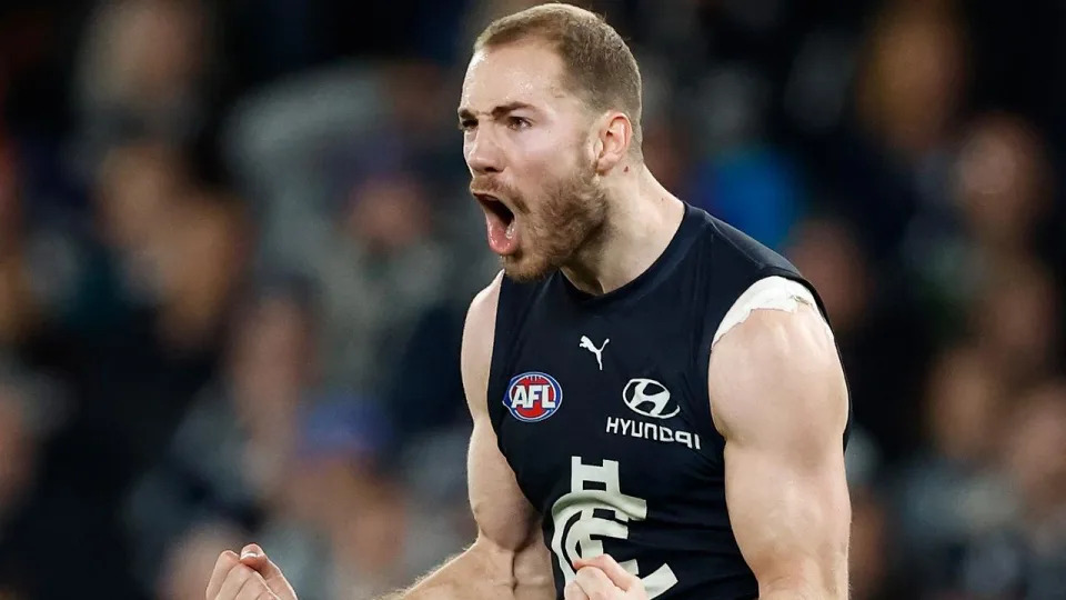 AFL Rd 19 - Carlton v North Melbourne