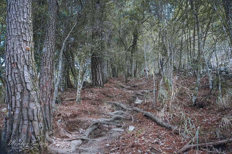 谷關七雄｜波津加山