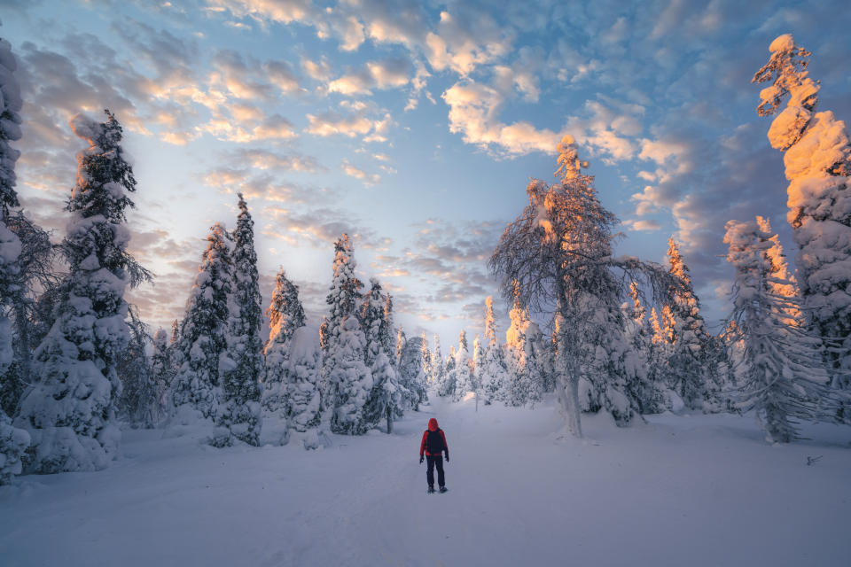 One man standing in a forest admiring the winter scenery in Lapland, Finland